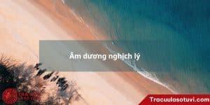 Âm dương nghịch lý