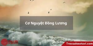 Cơ Nguyệt Đồng Lương 
