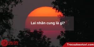 Lai nhân cung là gì?