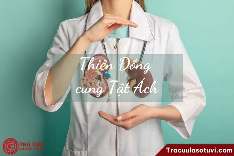 Thiên Đồng cung Tật Ách