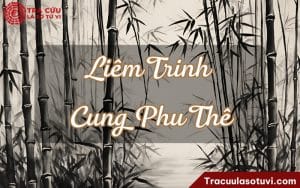 Liêm Trinh cung Phu Thê là gì? Luận giải ý nghĩa các trạng thái và các cách cục