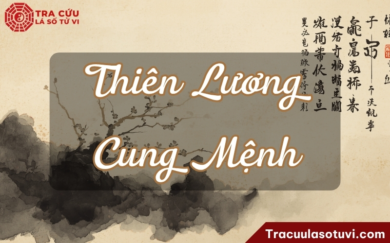 Thiên Lương cung Mệnh là gì? Ý nghĩa Mệnh Thiên Lương khi kết hợp các sao trong lá số tử vi