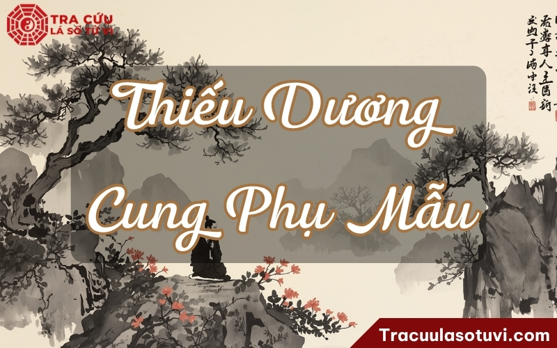Thiếu Dương cung Phụ Mẫu chủ về cha mẹ thường là người lương thiện, khéo léo trong đối nhân xử thế, có tiếng tăm và được nhiều người yêu mến Thiếu Dương cung Phụ Mẫu chủ về cha mẹ thường là người lương thiện, khéo léo trong đối nhân xử thế, có tiếng tăm và được nhiều người yêu mến