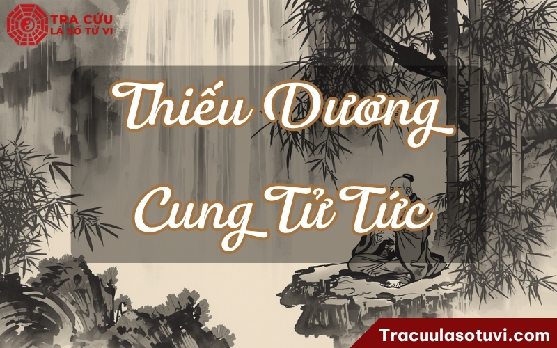Thiếu Dương cung Tử Tức chủ về đương số dễ có con cái khôn ngoan, hiếu thảo và thông minh Thiếu Dương cung Tử Tức chủ về đương số dễ có con cái khôn ngoan, hiếu thảo và thông minh