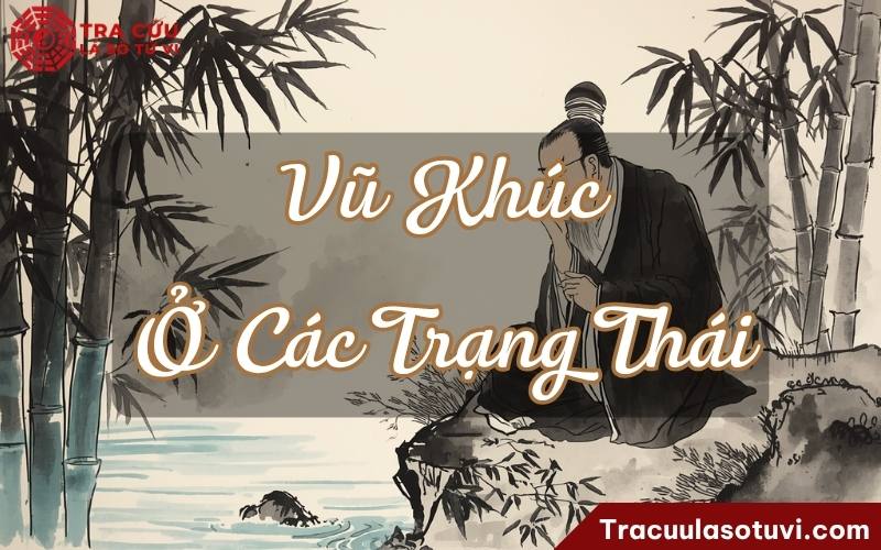 Ý nghĩa Vũ Khúc cung Phu Thê ở các trạng thái khác nhau Ý nghĩa Vũ Khúc cung Phu Thê ở các trạng thái khác nhau