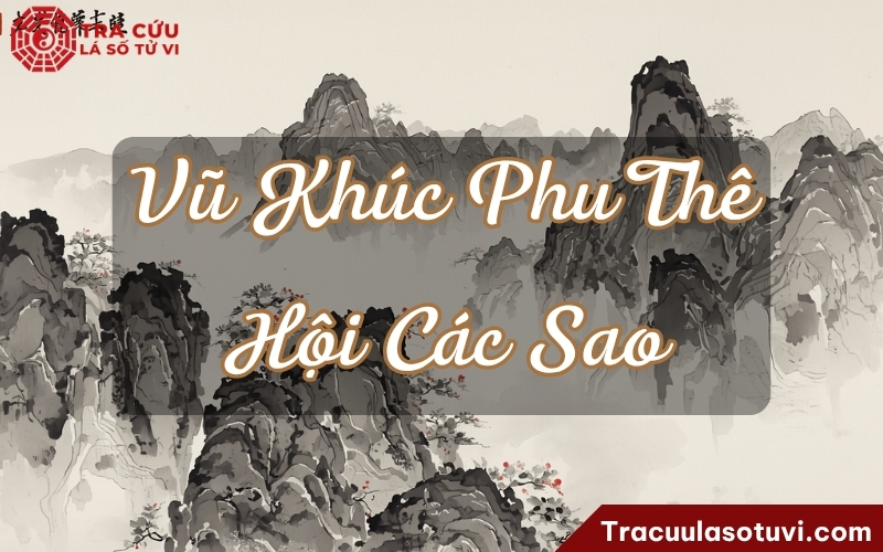 Ý nghĩa Vũ Khúc ở cung Phu Thê khi kết hợp với các sao khác trong lá số Ý nghĩa Vũ Khúc ở cung Phu Thê khi kết hợp với các sao khác trong lá số