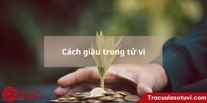 Cách giàu trong tử vi