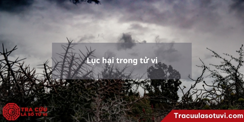 Lục hại trong tử vi