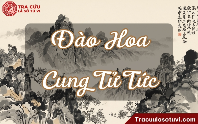 Tử Tức vốn đã là cung đào hoa, đam mê, tính dục, hưu nhàn, nên có Đào Hoa càng làm nổi duyên khác phái, đam mê, vui chơi, sức hút cảm xúc Tử Tức vốn đã là cung đào hoa, đam mê, tính dục, hưu nhàn, nên có Đào Hoa càng làm nổi duyên khác phái, đam mê, vui chơi, sức hút cảm xúc