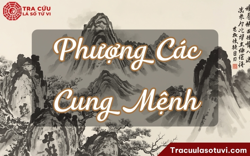 Tăng vẻ thanh nhã, quý khí, phẩm giá, văn nhã ở cá tính, diện mạo, tài hoa, cách biểu hiện bản thân của đương số Tăng vẻ thanh nhã, quý khí, phẩm giá, văn nhã ở cá tính, diện mạo, tài hoa, cách biểu hiện bản thân của đương số