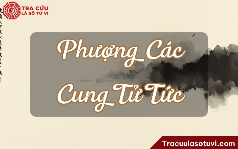 Con cái có khí chất sáng sủa, văn nhã, dễ gây thiện cảm Con cái có khí chất sáng sủa, văn nhã, dễ gây thiện cảm