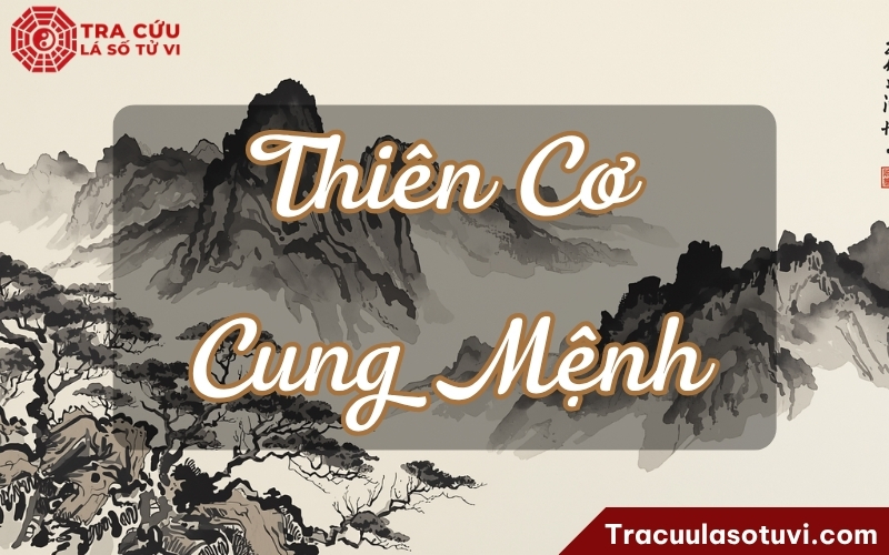 Trí tuệ cao, linh xảo, gấp gáp, khẩu tài sắc bén, có tài biện luận Trí tuệ cao, linh xảo, gấp gáp, khẩu tài sắc bén, có tài biện luận