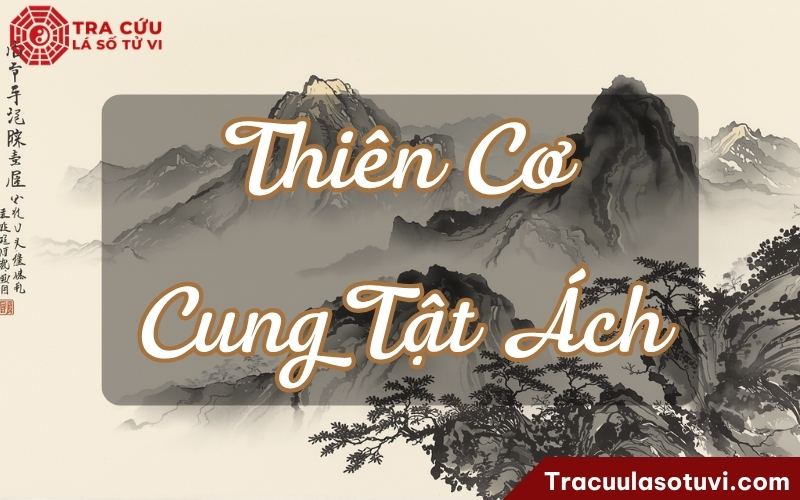 Đầu óc, cảm xúc, tư duy, trạng thái nội tại theo hướng nhạy, động, nhiều suy nghĩ Đầu óc, cảm xúc, tư duy, trạng thái nội tại theo hướng nhạy, động, nhiều suy nghĩ