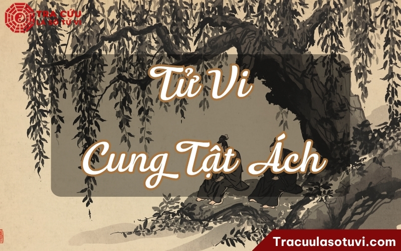Đây không phải vị trí đẹp nhất cho Tử Vi Đây không phải vị trí đẹp nhất cho Tử Vi