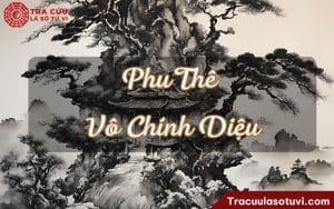 Phu Thê Vô Chính Diệu