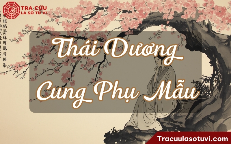 Thái Dương cung Phụ Mẫu là gì? Luận giải ý nghĩa khi kết hợp với các sao trên lá số tử vi