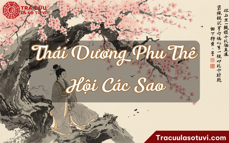 Ý nghĩa Thái Dương cung Phu Thê khi kết hợp với các sao khác trong lá số Ý nghĩa Thái Dương cung Phu Thê khi kết hợp với các sao khác trong lá số
