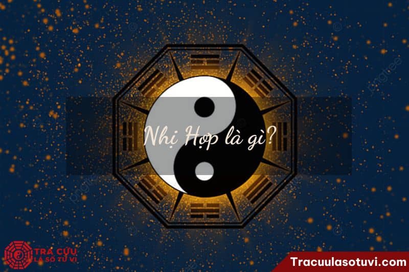 Nhị Hợp là gì? Nhị Hợp là gì?