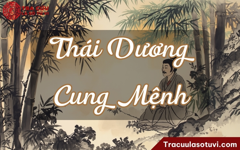 Thái Dương cung Mệnh là cách người có đầu óc sáng, tính ngay thẳng, thích rõ ràng, có lòng nhân, dễ hướng đến công danh hoặc vai trò được người khác nhìn thấy.
