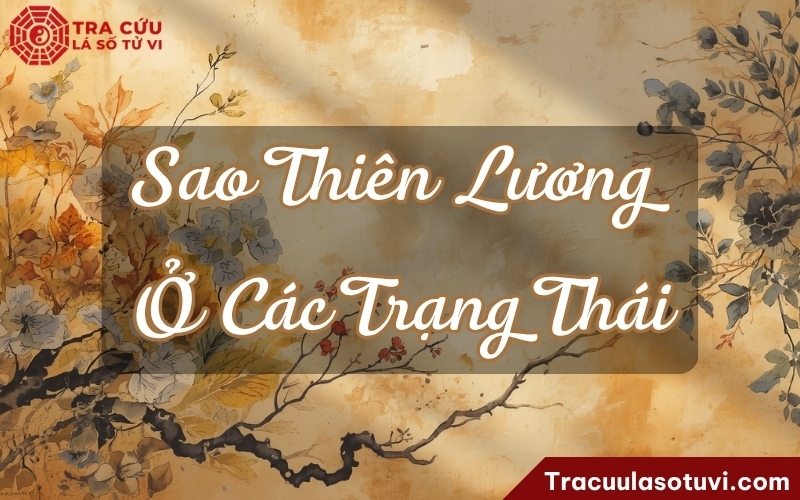 Ý nghĩa sao Thiên Lương trong cung Điền Trạch ở các trạng thái khác nhau trong lá số tử vi Ý nghĩa sao Thiên Lương trong cung Điền Trạch ở các trạng thái khác nhau trong lá số tử vi