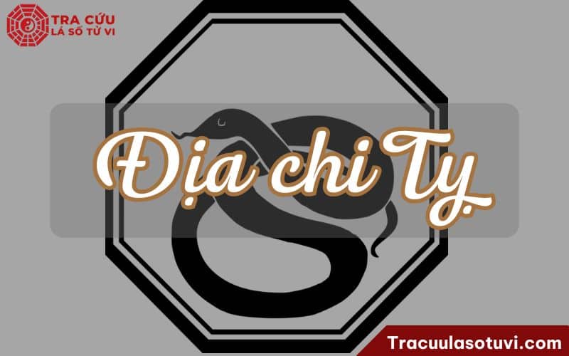 Địa chi Tỵ