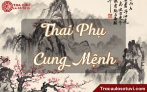 Thai Phụ cung Mệnh là gì? Luận đoán chi tiết và ý nghĩa và ảnh hưởng đến cuộc sống