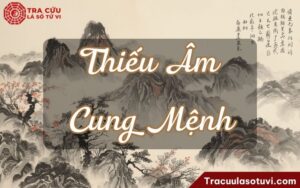 Thiếu Âm cung Mệnh là gì? Luận giải  nghĩa khi kết hợp với các sao khác trong lá số tử vi