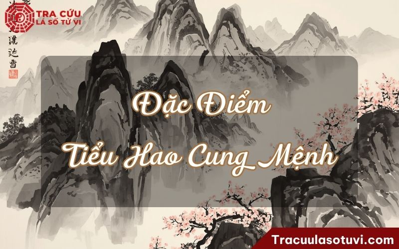 Đặc điểm của người có Tiểu Hao cung Mệnh Đặc điểm của người có Tiểu Hao cung Mệnh
