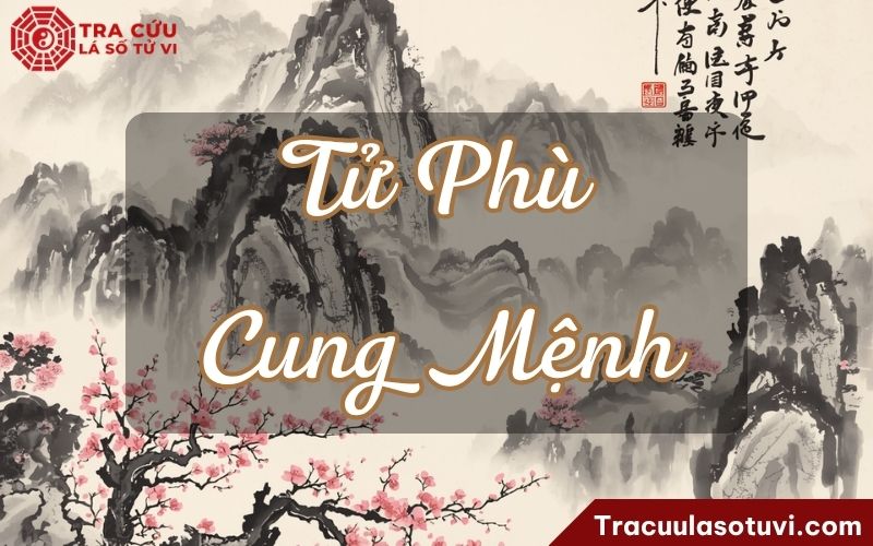 Tử Phù cung Mệnh là gì? Tử Phù cung Mệnh là gì?