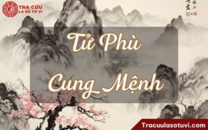 Tử Phù cung Mệnh là gì? Luận giải ý nghĩa khi kết hợp với các sao khác trong lá số