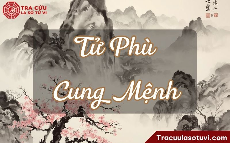 Tử Phù cung Mệnh là gì? Luận giải ý nghĩa khi kết hợp với các sao khác trong lá số